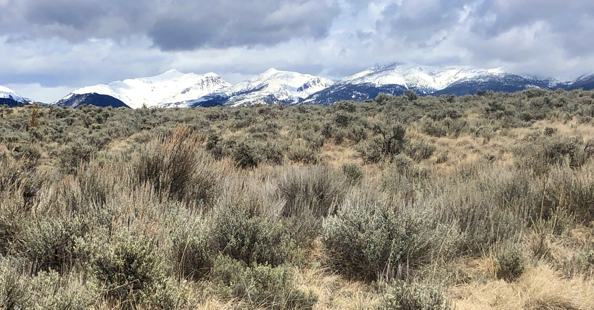 Ovando view